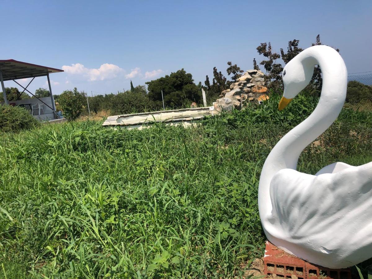 Aelia'S Panoramic View Διαμέρισμα Λιτόχωρο Εξωτερικό φωτογραφία